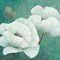 Flora II Poster Print by Jettie Roseboom - Item # VARPDXGA0116315